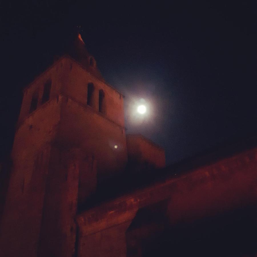 Les Mirabelles Chambres D'Hotes Sisteron Dış mekan fotoğraf
